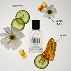 DedCool Xtra Milk bergamot halo emphasizing a fresh citrus opening.