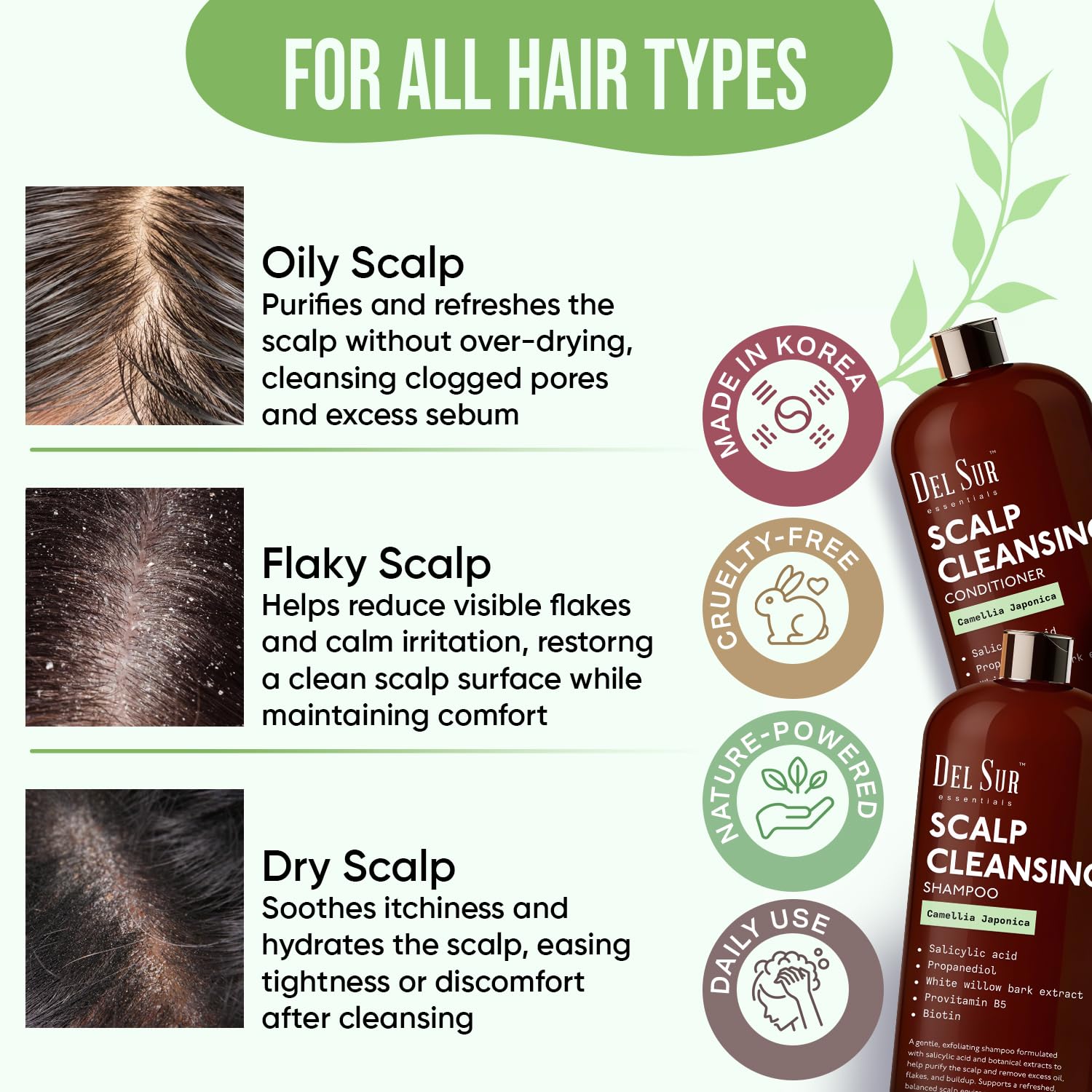 DEL SUR camellia japonica ingredient illustration highlights nourishing botanical essence