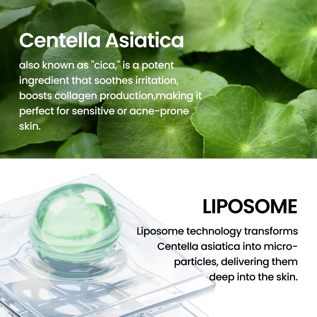 Delphyr TECA soothing skin care routine visual promotes calmer, balanced skin