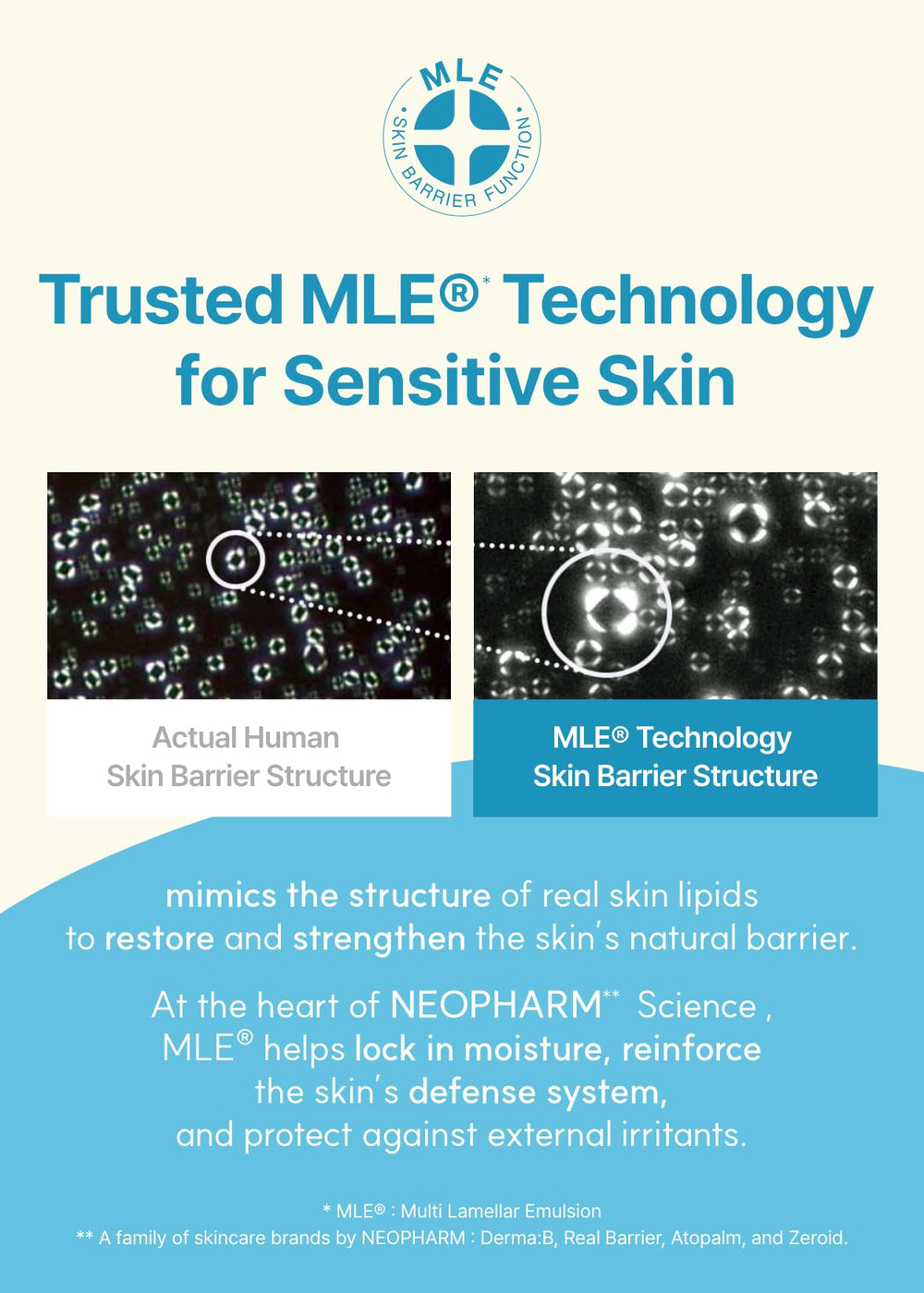 Derma B Daily Moisture jar with creamy texture conveys spa-like experience
