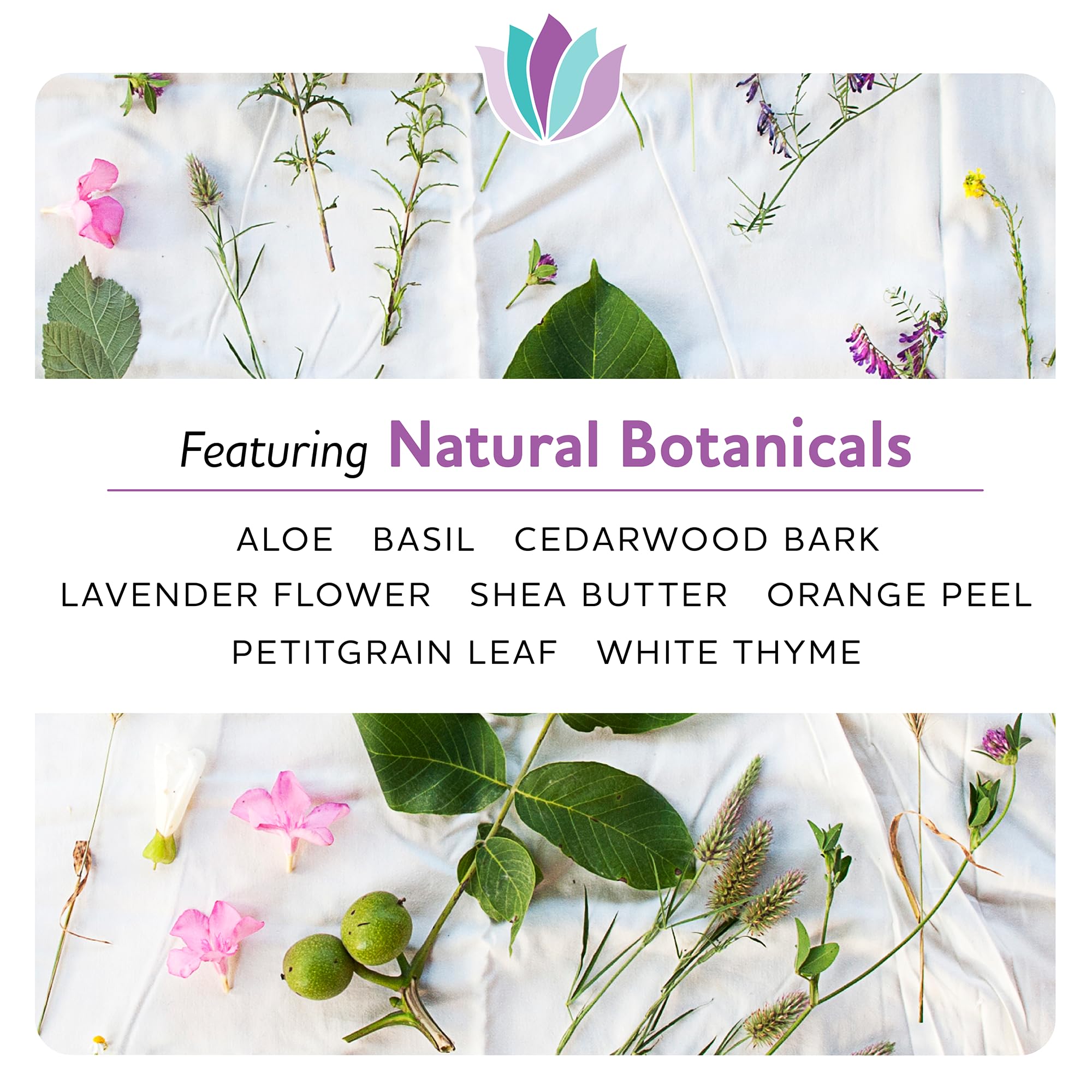 Dermal-K ingredients and label emphasize vitamin K and antioxidants for skin hydration