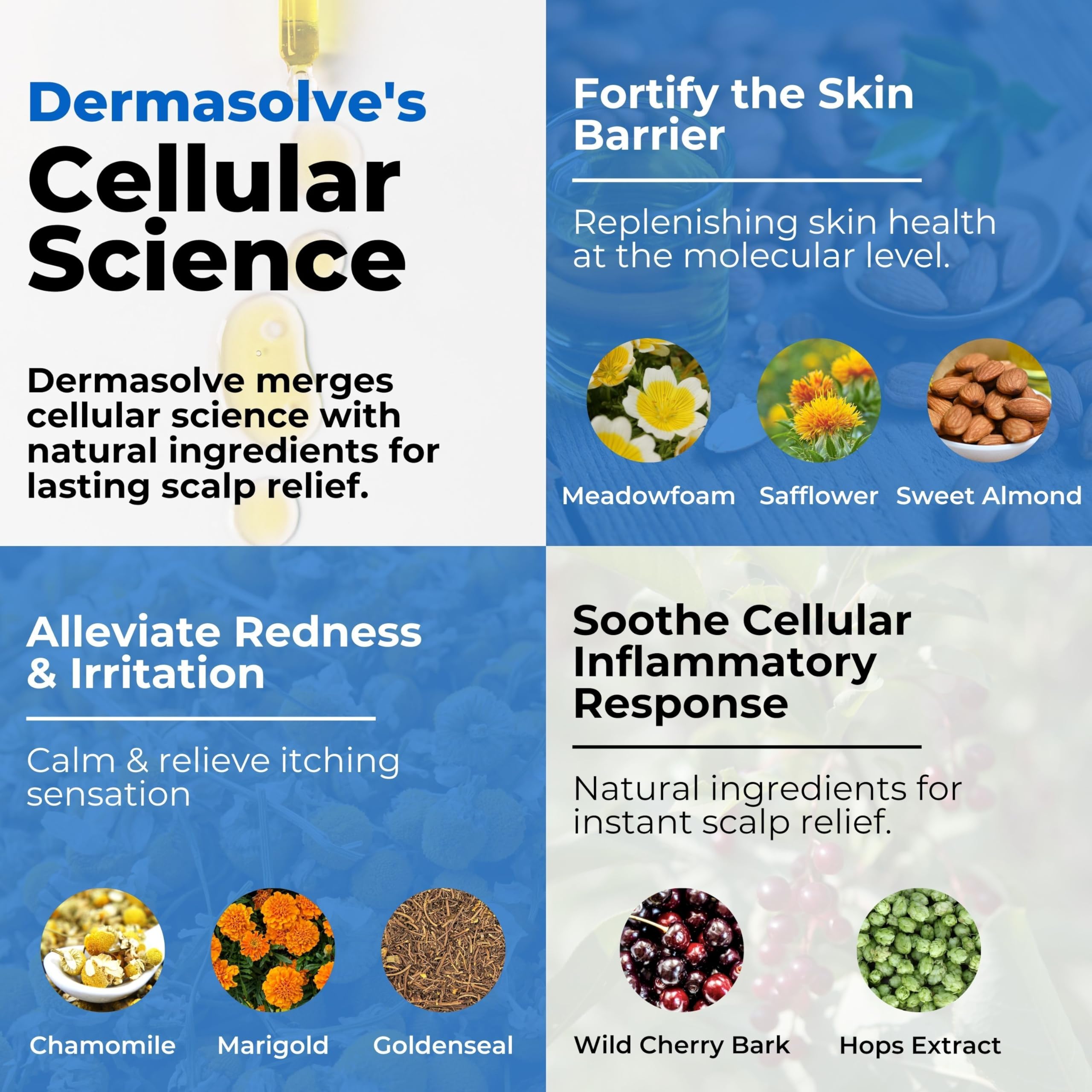 Dermasolve psoriasis scalp oil ingredients spotlight features meadowfoam and almond oils for moisture
