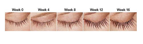 Dermaworks Spectaculash lash serum before-after glimpse of fuller lashes.