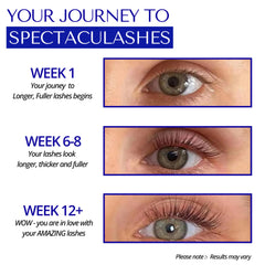 Dermaworks Spectaculash XL pumpkin seed extract visual for lash conditioning.