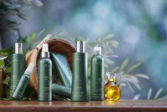 DESIGNLINE Olive Oil EVOO Lite Leave-In is applied to damp hair for detangling and moisture.