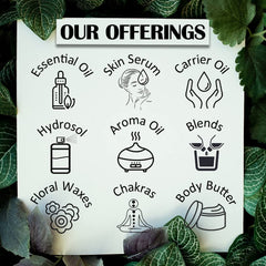 deve herbes Watermelon Seed Oil on skin provides lightweight nourishment without greasiness