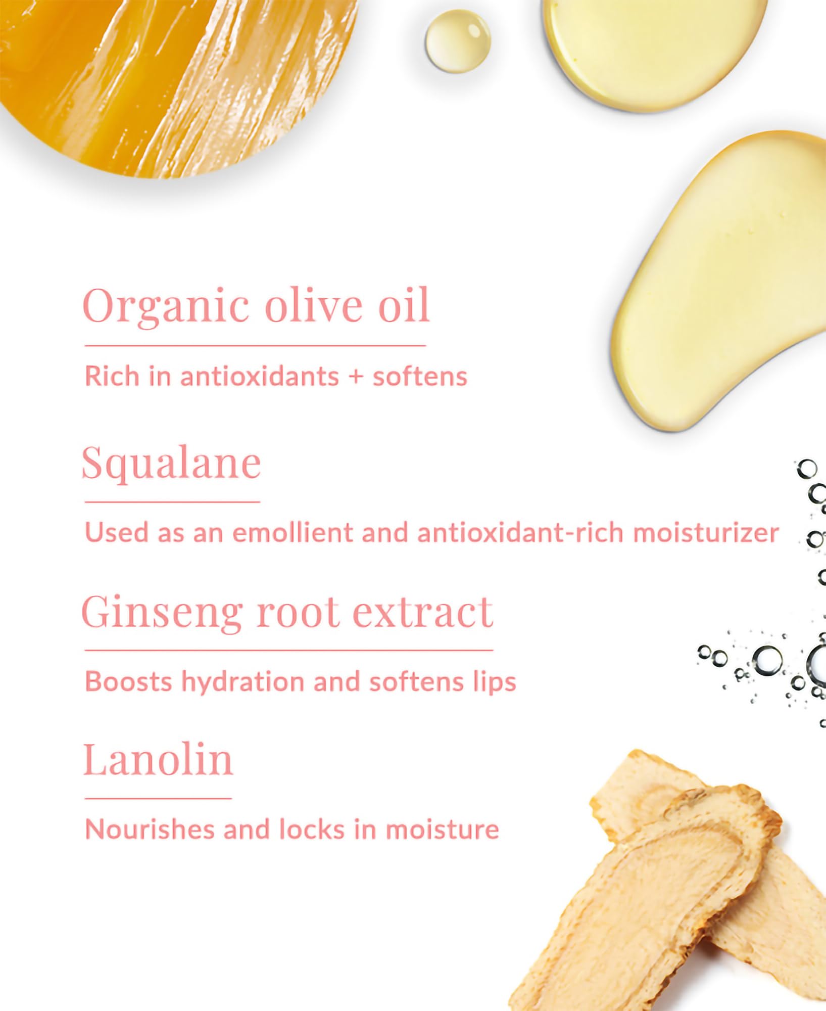 DHC Lip Cream close-up with hydrating botanicals