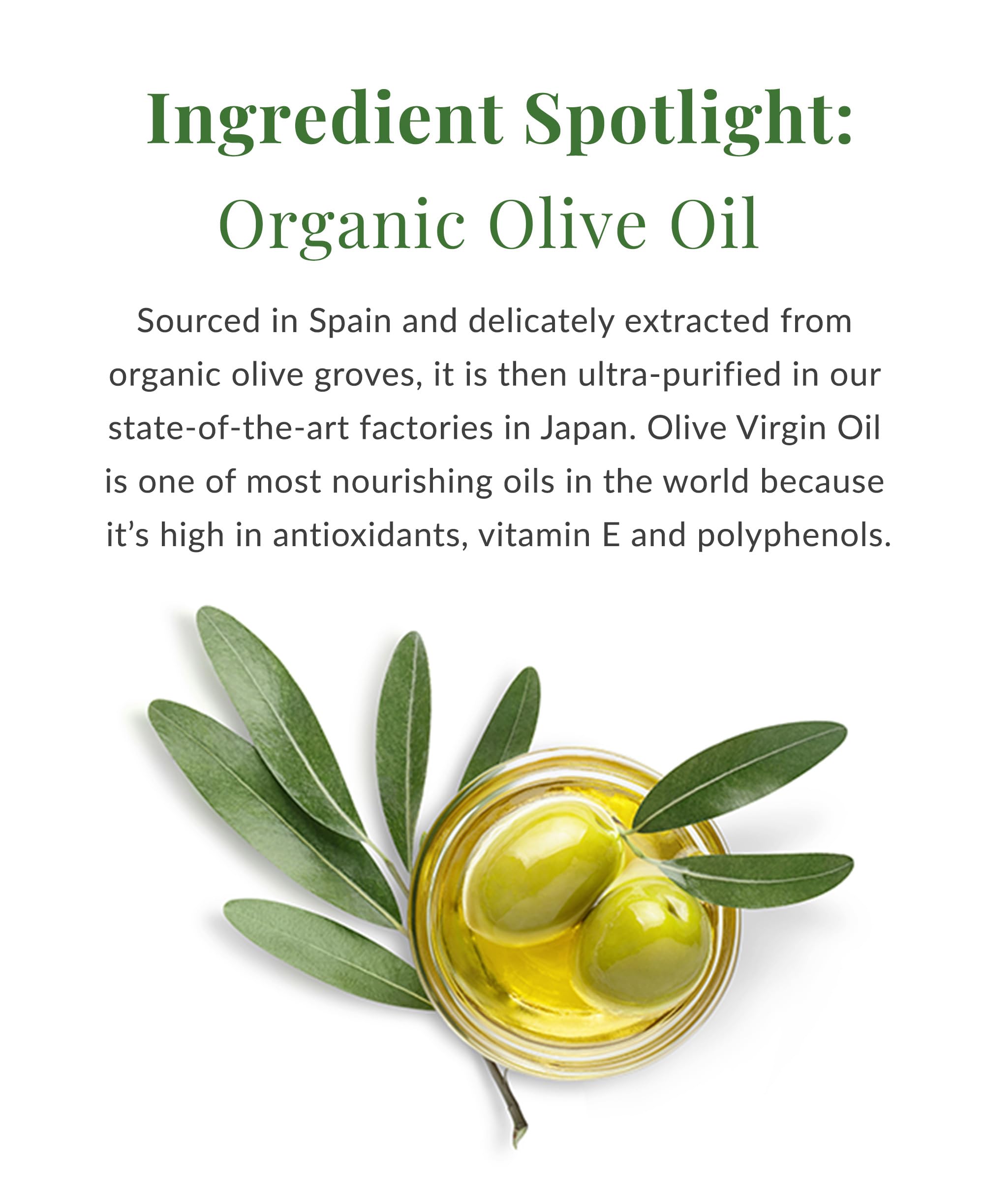 Close-up of 100% organic olive oil ingredients for nourishment