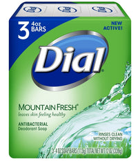 Dial Mountain Fresh antibacterial deodorant soap bar shown, delivering refreshing cleansing for daily hygiene.