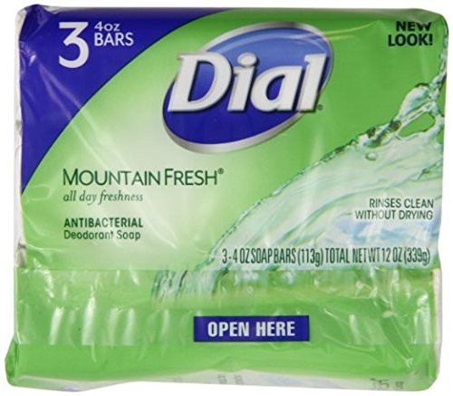 Dial Mountain Fresh bar soap pack side highlights all-day freshness for busy mornings