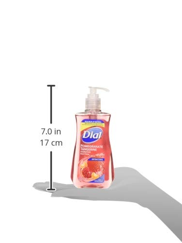 Dial Pomegranate and Tangerine hand soap pump in action for refreshed hands.