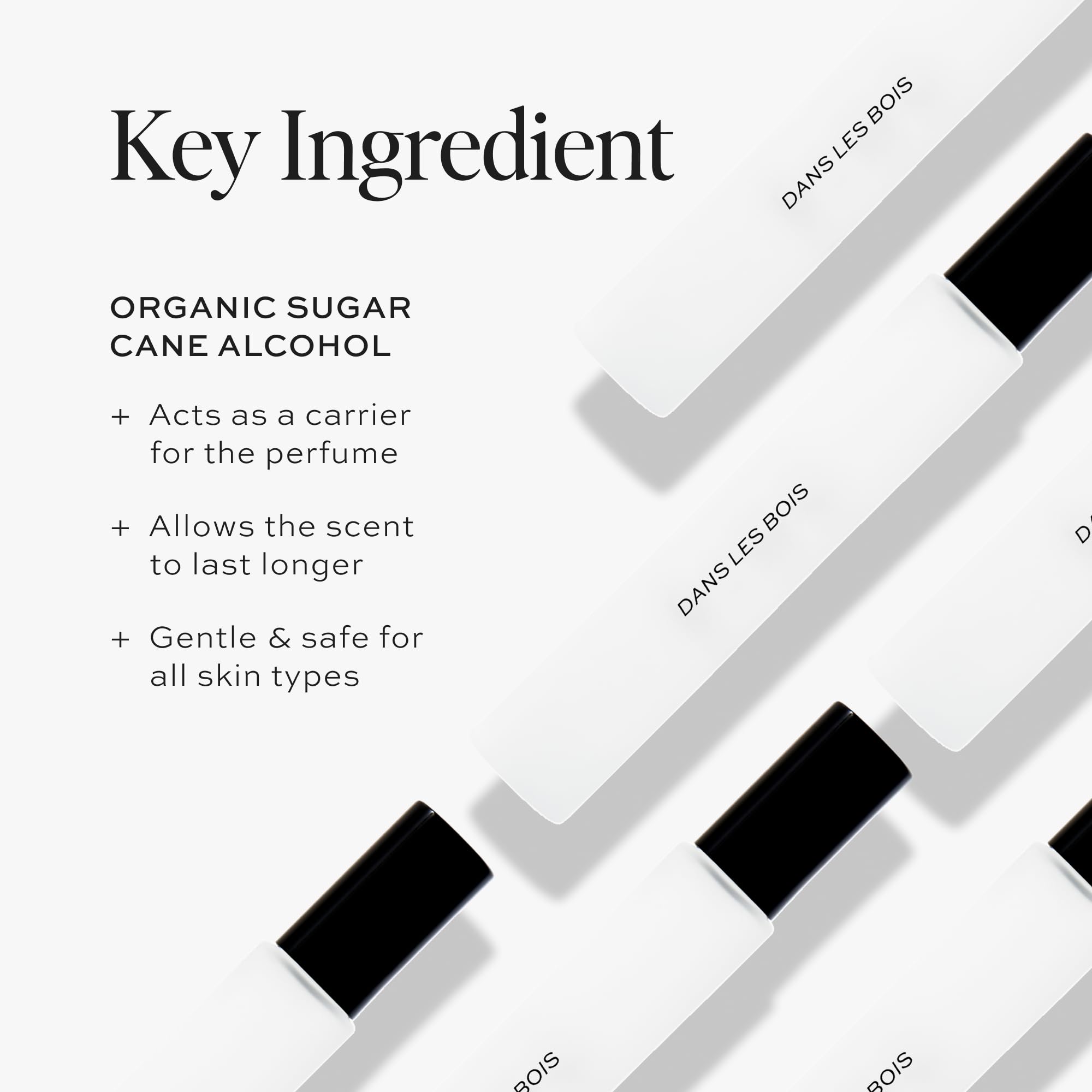 DIME Dans Les Bois scent profile visuals showing a sophisticated woody-floral blend.