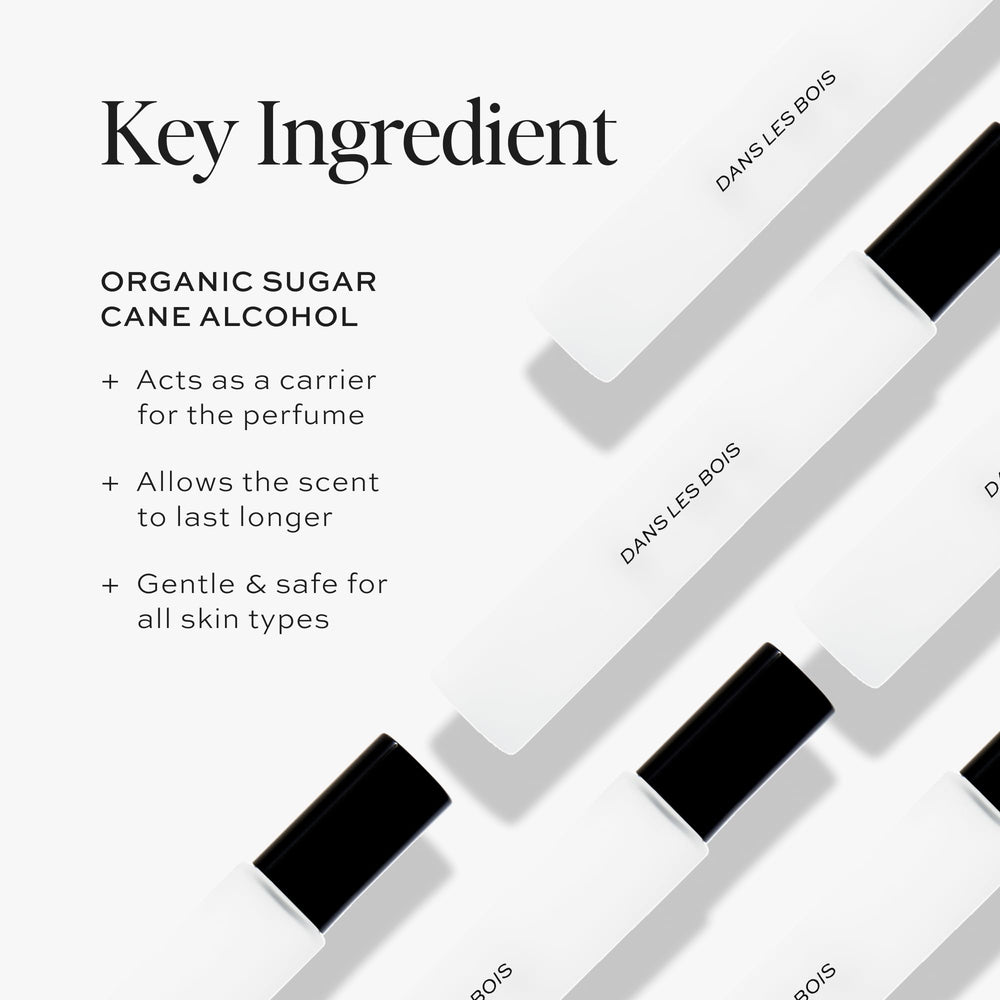 DIME Dans Les Bois scent profile visuals showing a sophisticated woody-floral blend.