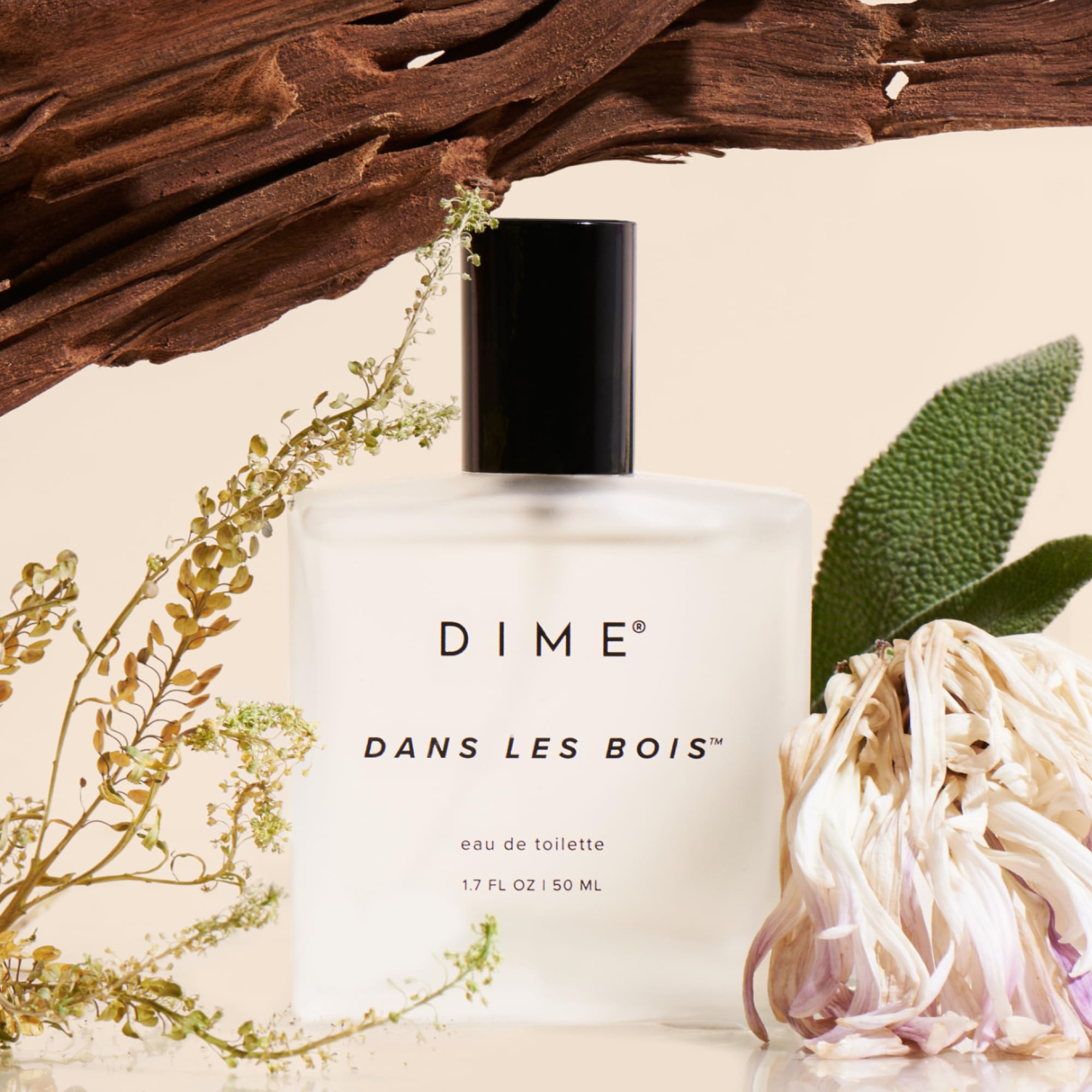 DIME Dans Les Bois middle notes depiction featuring jasmine and amber for warmth