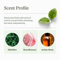 Divi Dry Shampoo Spray root volume demonstrating lift and fullness.