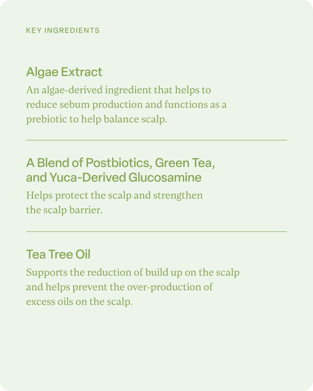 Divi Hydrating Shampoo ingredients like algae and green tea shown on packaging.