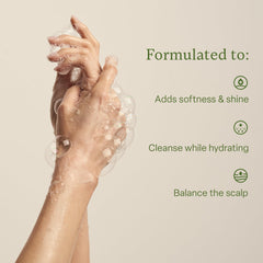 Divi Hydrating Shampoo label detail showcasing paraben-free, cruelty-free standards.