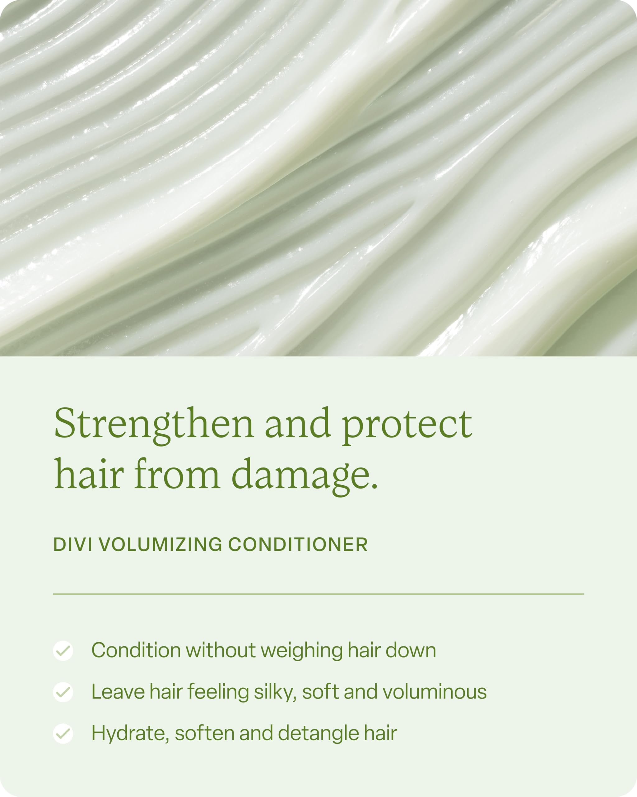 Divi ingredient panel highlights amino acids and plant extracts