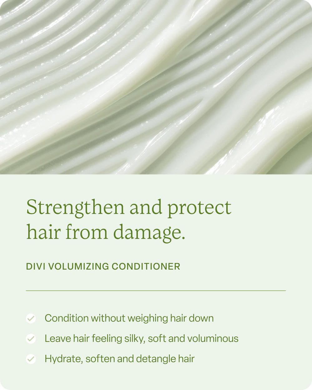 Divi ingredient panel highlights amino acids and plant extracts