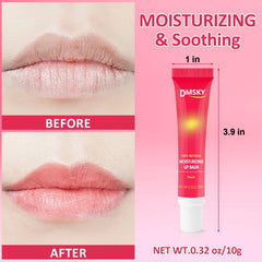Dmsky 12-flavors lip gloss set captures fruity scents for daily lip care.