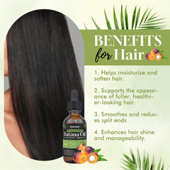 Dolahair Batana Oil on hair shaft supports elasticity