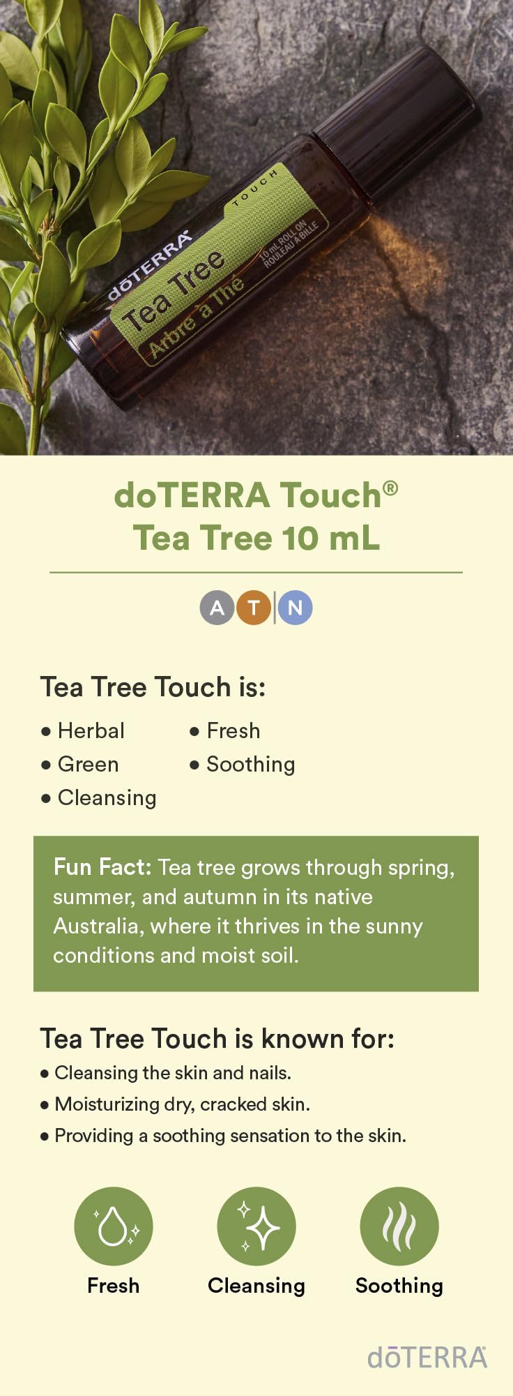 doTERRA Melaleuca Touch on-skin application close-up