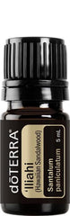 doTERRA Hawaiian Sandalwood bottle pour highlighting calming aroma for skin routines