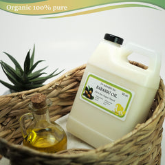 Dr Adorable Babassu Oil application demonstrates quick absorption and non-greasy feel.
