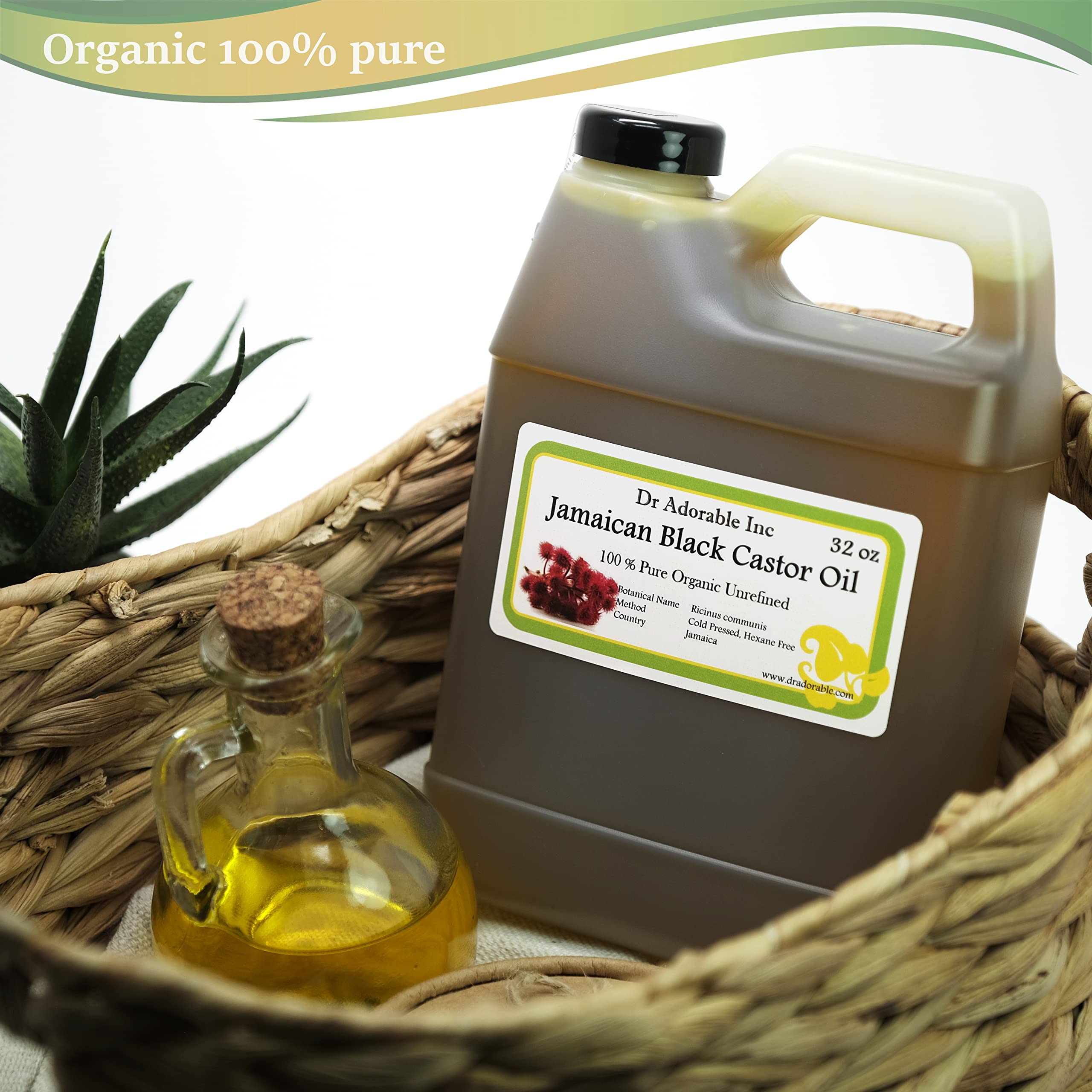 Applying Dr Adorable Jamaican Black Castor Oil to the scalp for healthier hair