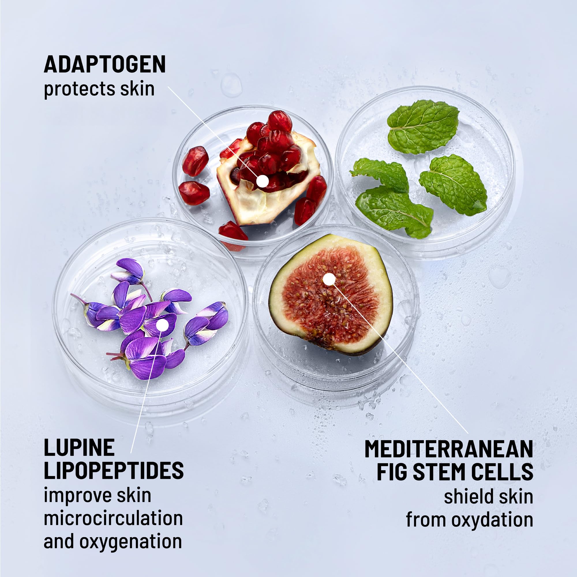 Mediterranean Fig Stem Cells illustration emphasizing antioxidant protection in iD-STRESS.