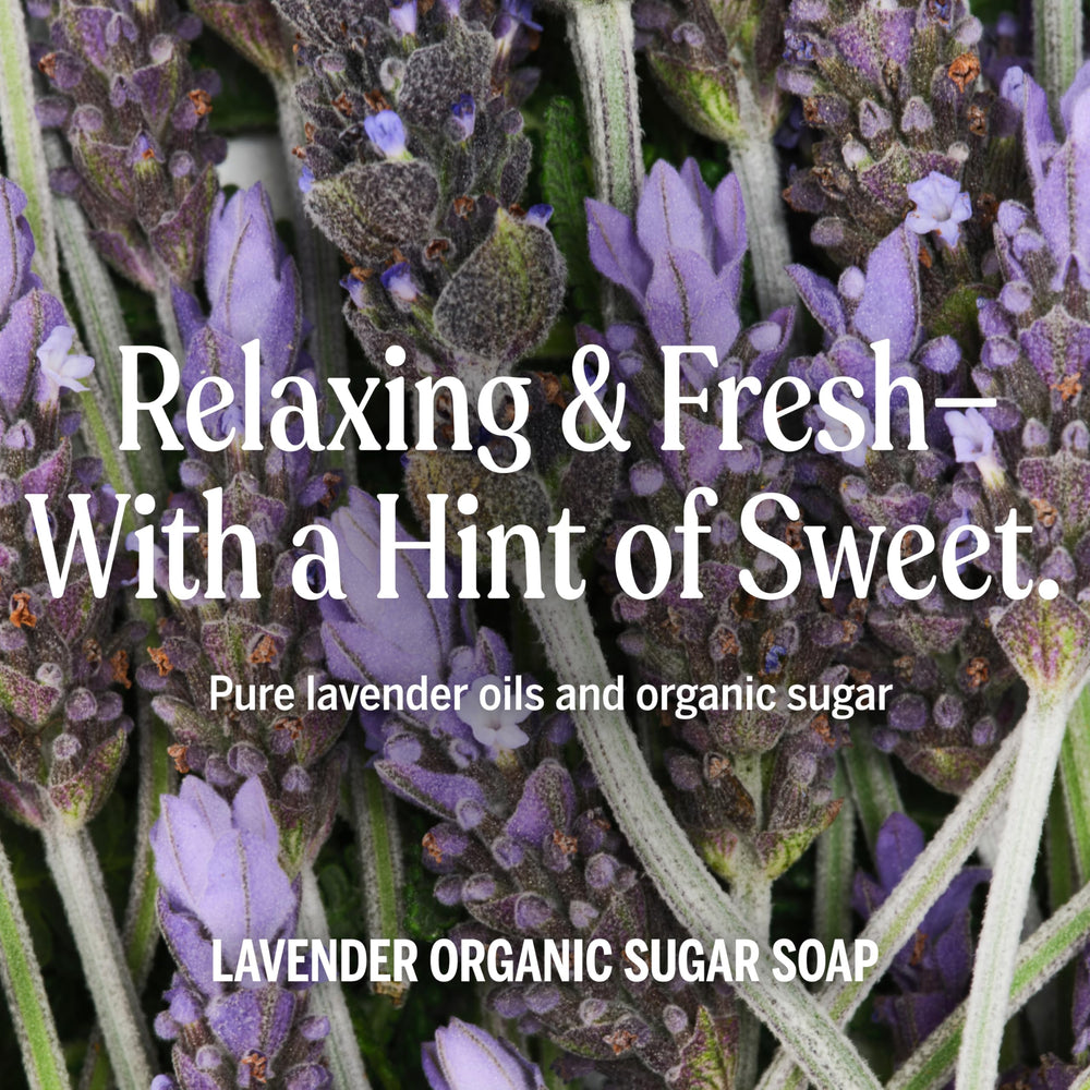 Dr. Bronner's Sugar Soap ingredients with shikakai powder for nourishing cleansing.