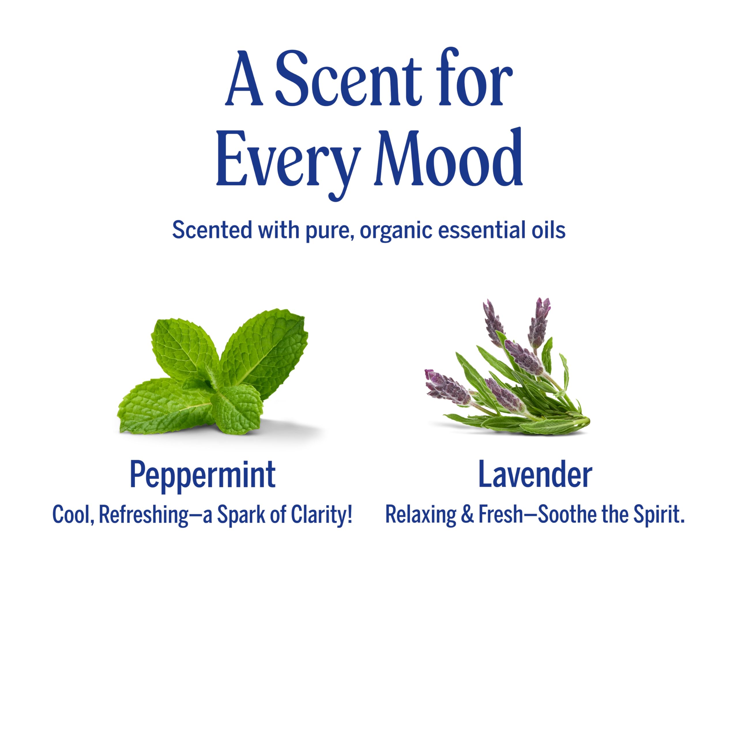 Pouring Dr. Bronner's Organic Hair Crème to emphasize lavender coconut aroma.