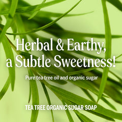 Dr. Bronner's Organic Shikakai powder featured for cleansing and conditioning.