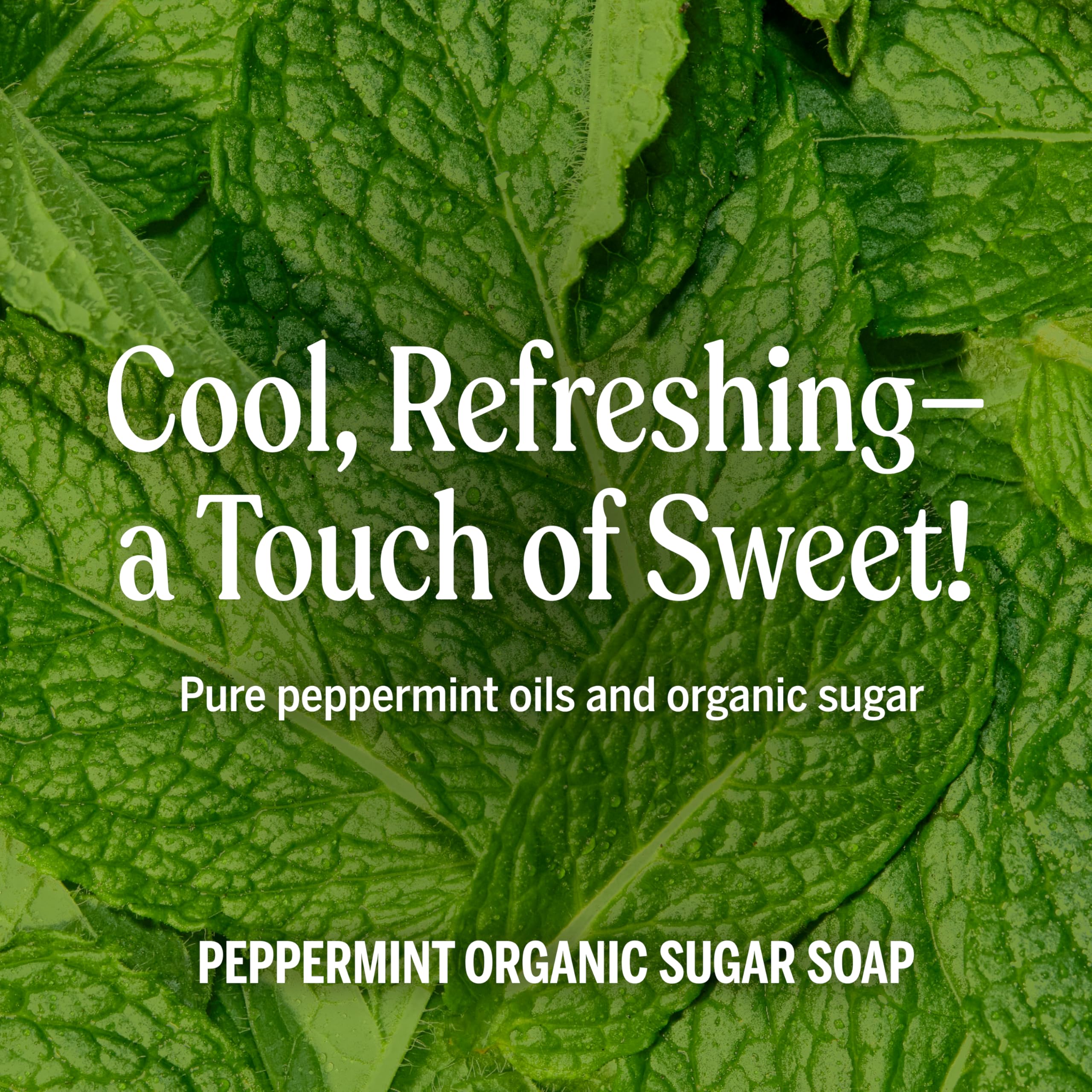 Shikakai powder cleanses gently while conditioning skin and hair.