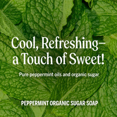 Shikakai powder cleanses gently while conditioning skin and hair.