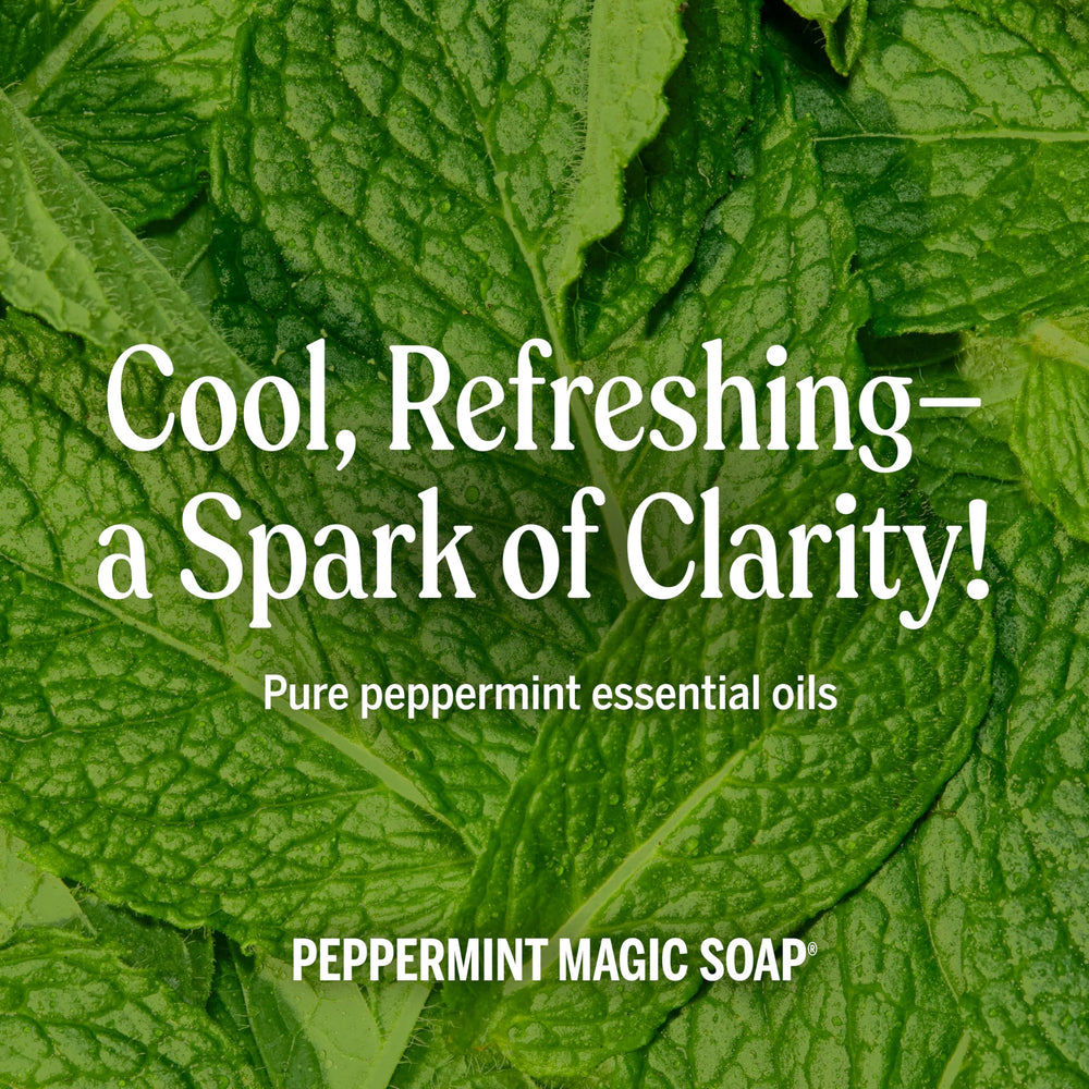 Dr. Bronner's refill carton emphasizes 86% less plastic per quart.