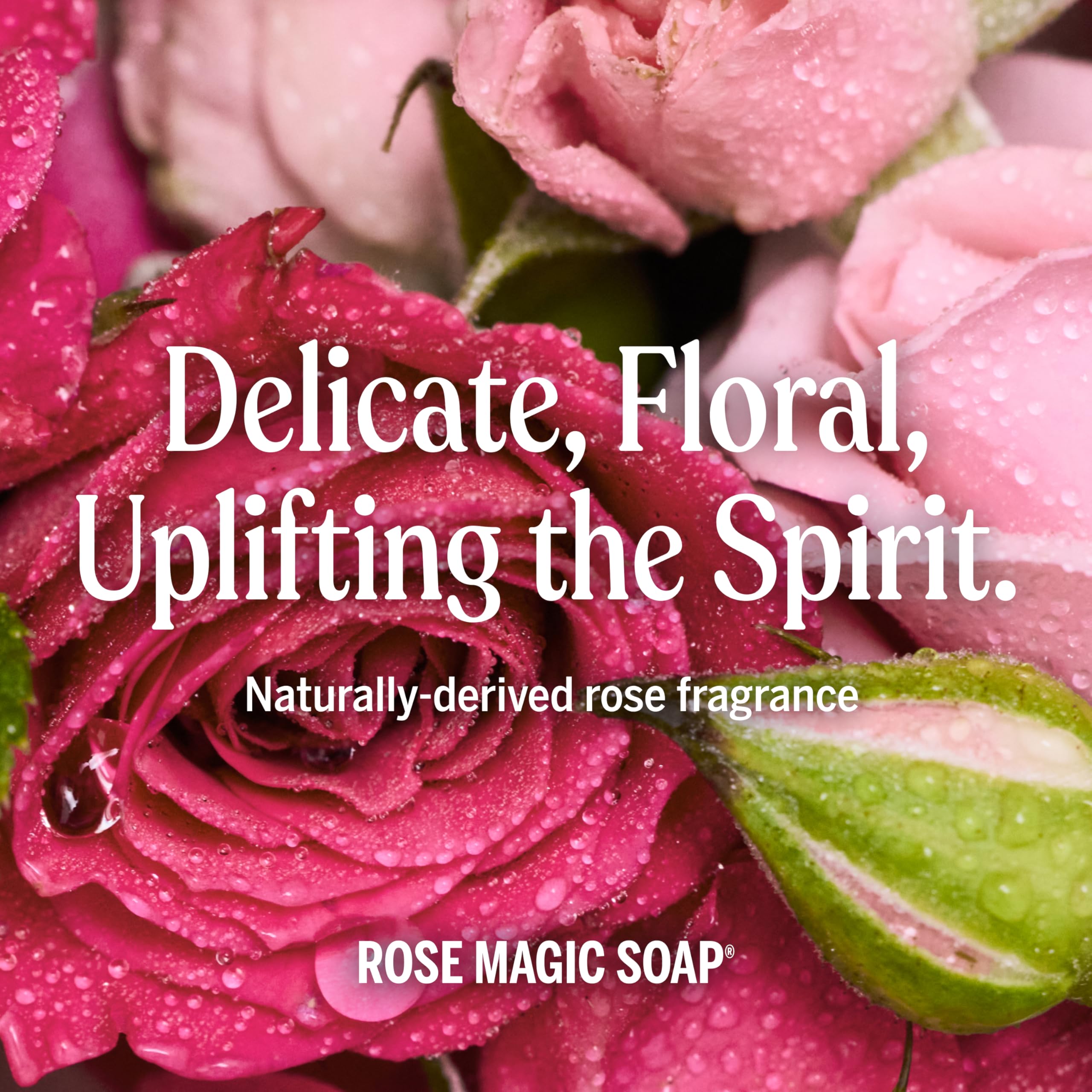 Pet washing with Dr. Bronner's Rose soap, gentle and effective