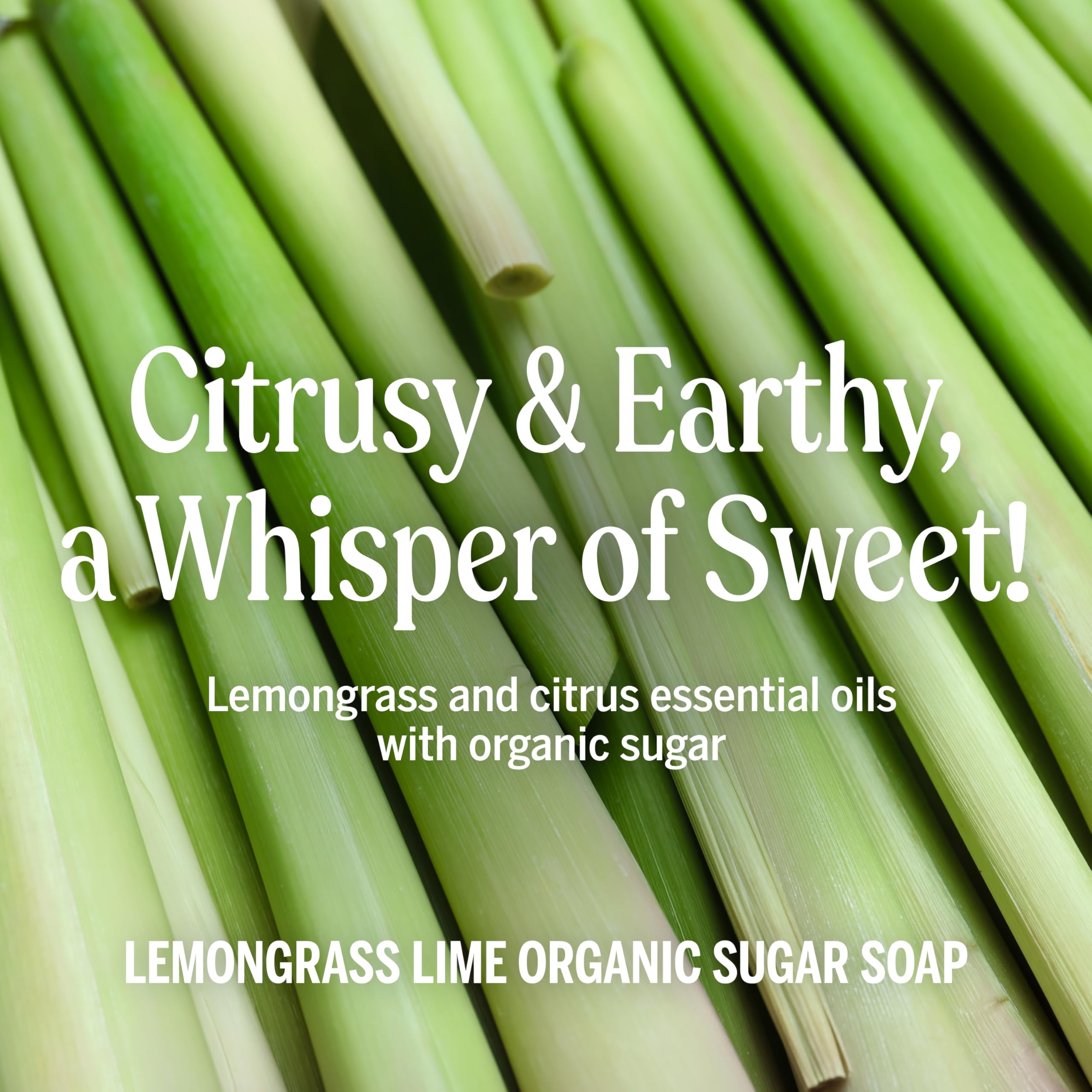 Dr. Bronner's Lemongrass Sugar Soap applied to hands for gentle cleansing