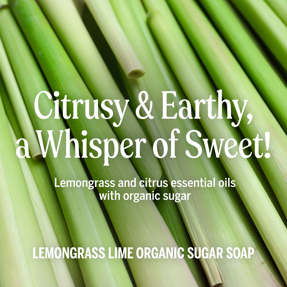 Dr. Bronner's Lemongrass Sugar Soap applied to hands for gentle cleansing