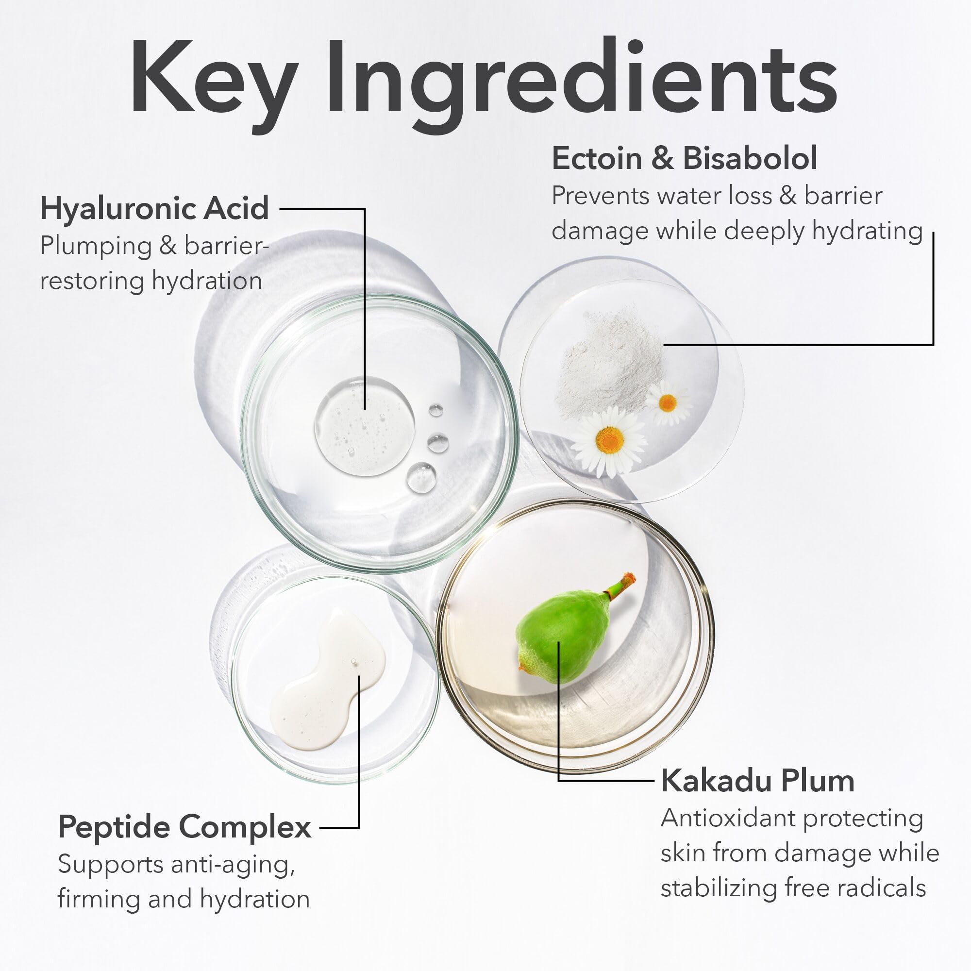 Copper peptides, bisabolol, and ectoin support skin resilience and moisture balance