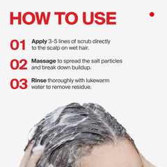 DR.FORHAIR Folligen Sea Salt Scaler infused with peppermint and mint for lasting freshness.