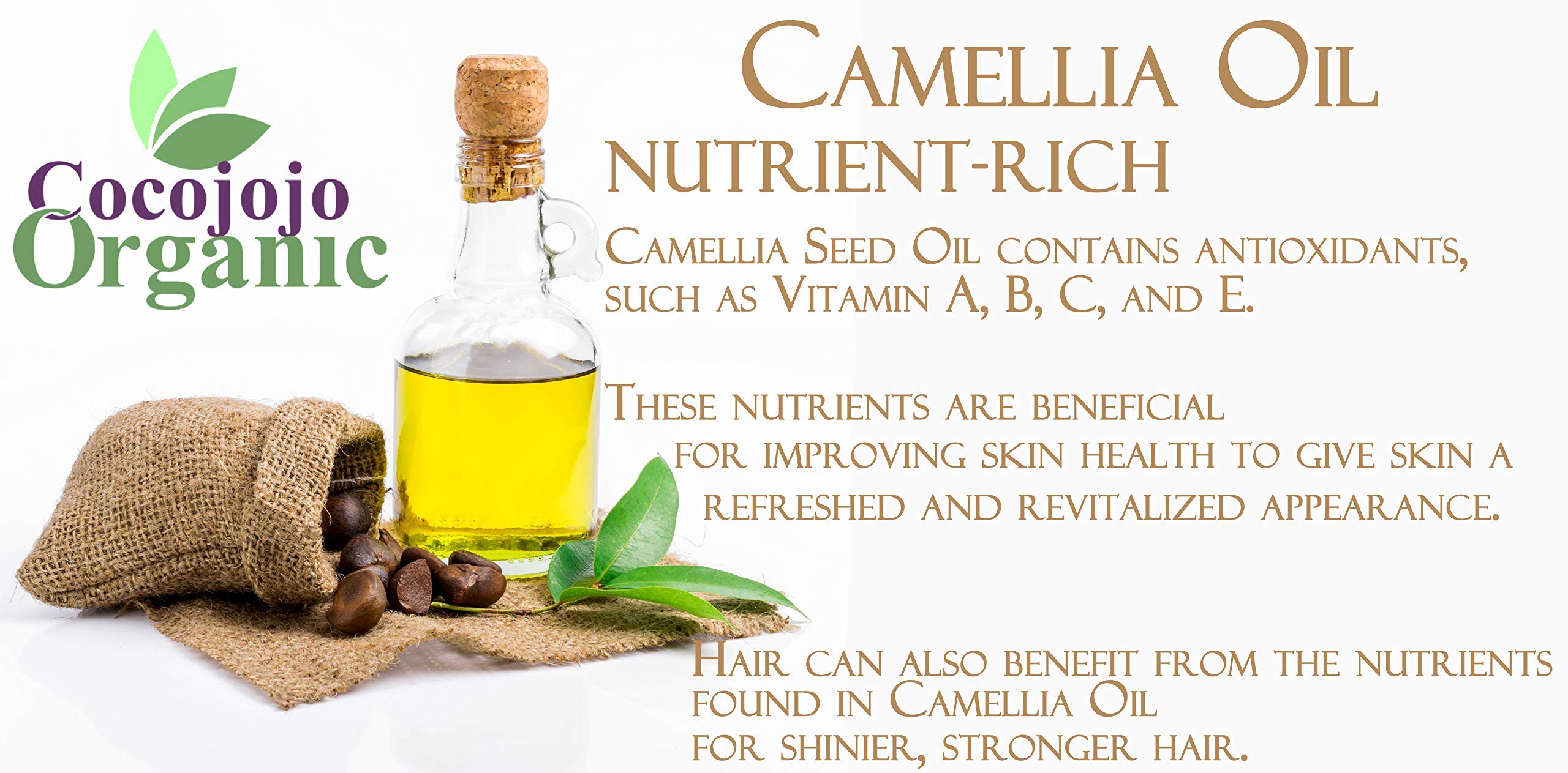 Dr Joe Lab Camellia Seed Oil ingredients—pure, non-GMO oil for skin and hair.