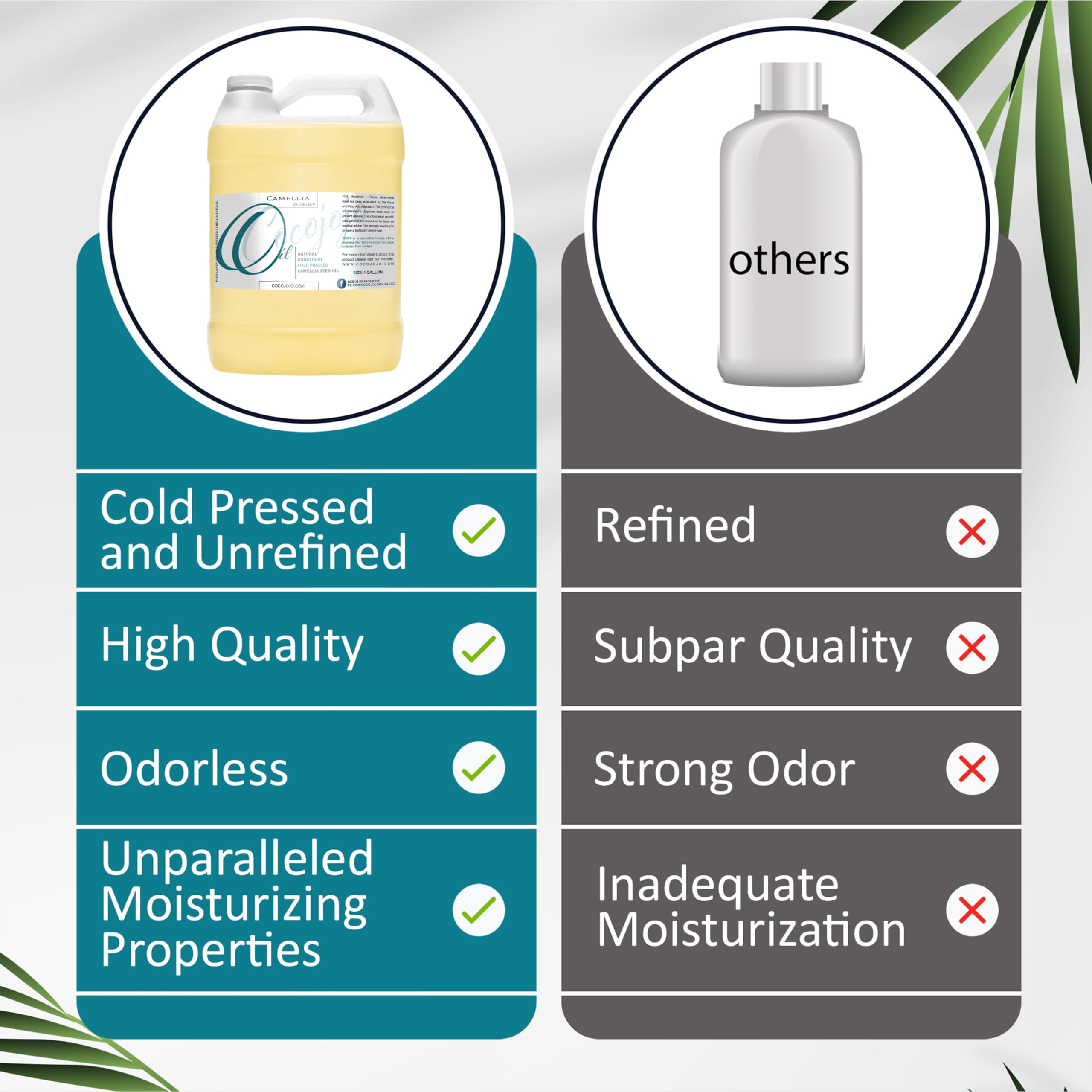 Dr Joe Lab Camellia Seed Oil used on nails and cuticles for hydration.