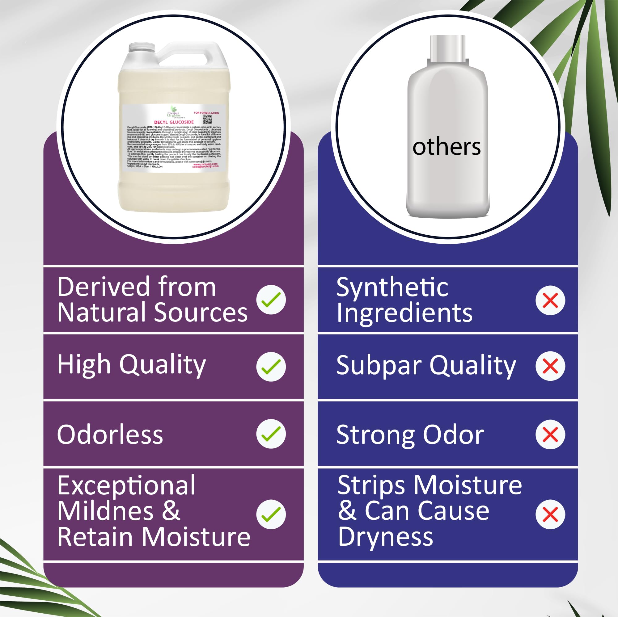 Dr Joe Lab Cocojojo Decyl Glucoside ingredients highlight plant-derived cleansing