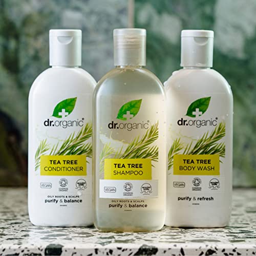 Natural ingredients like aloe vera and peppermint displayed