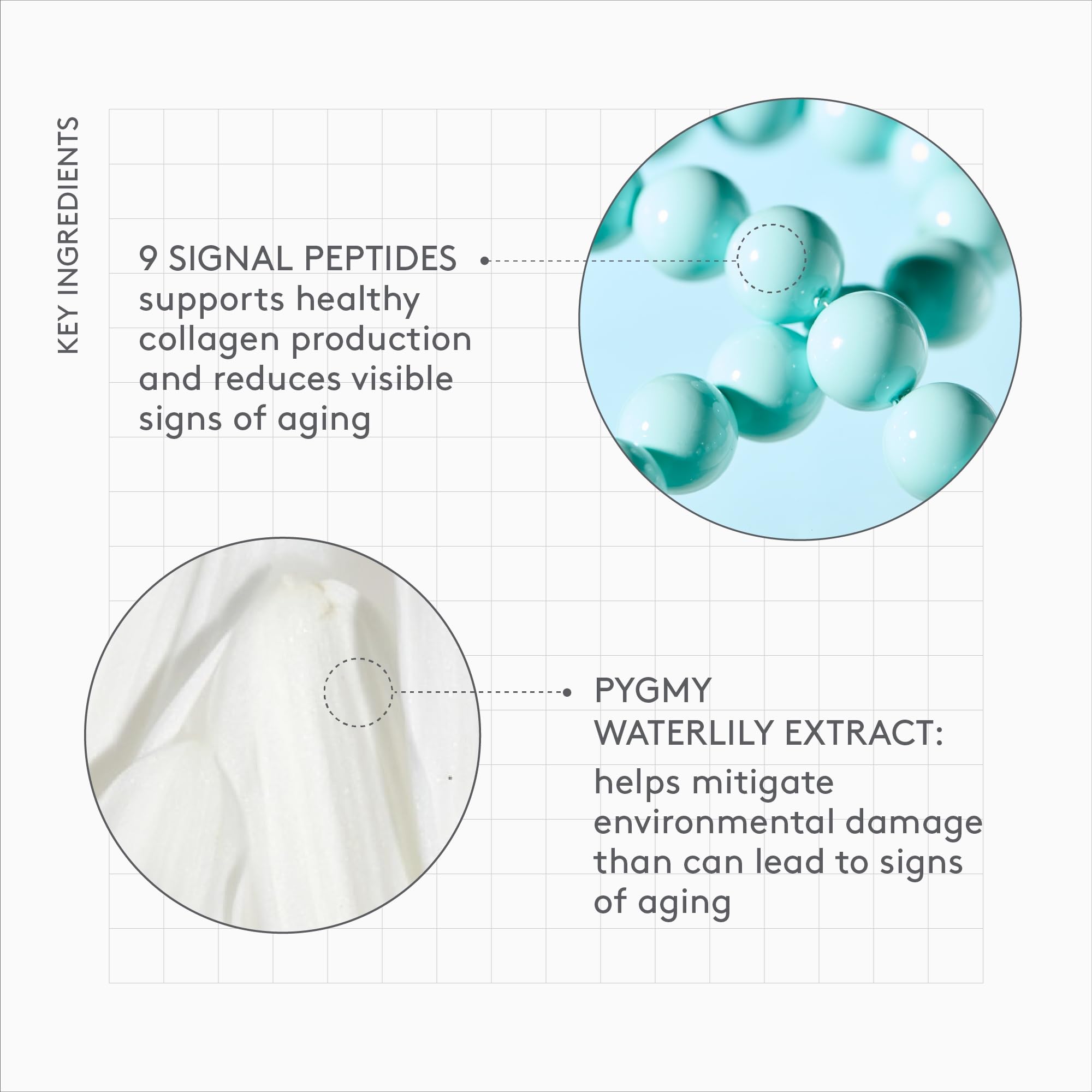 Drunk Elephant Protini night routine shot supports overnight renewal.