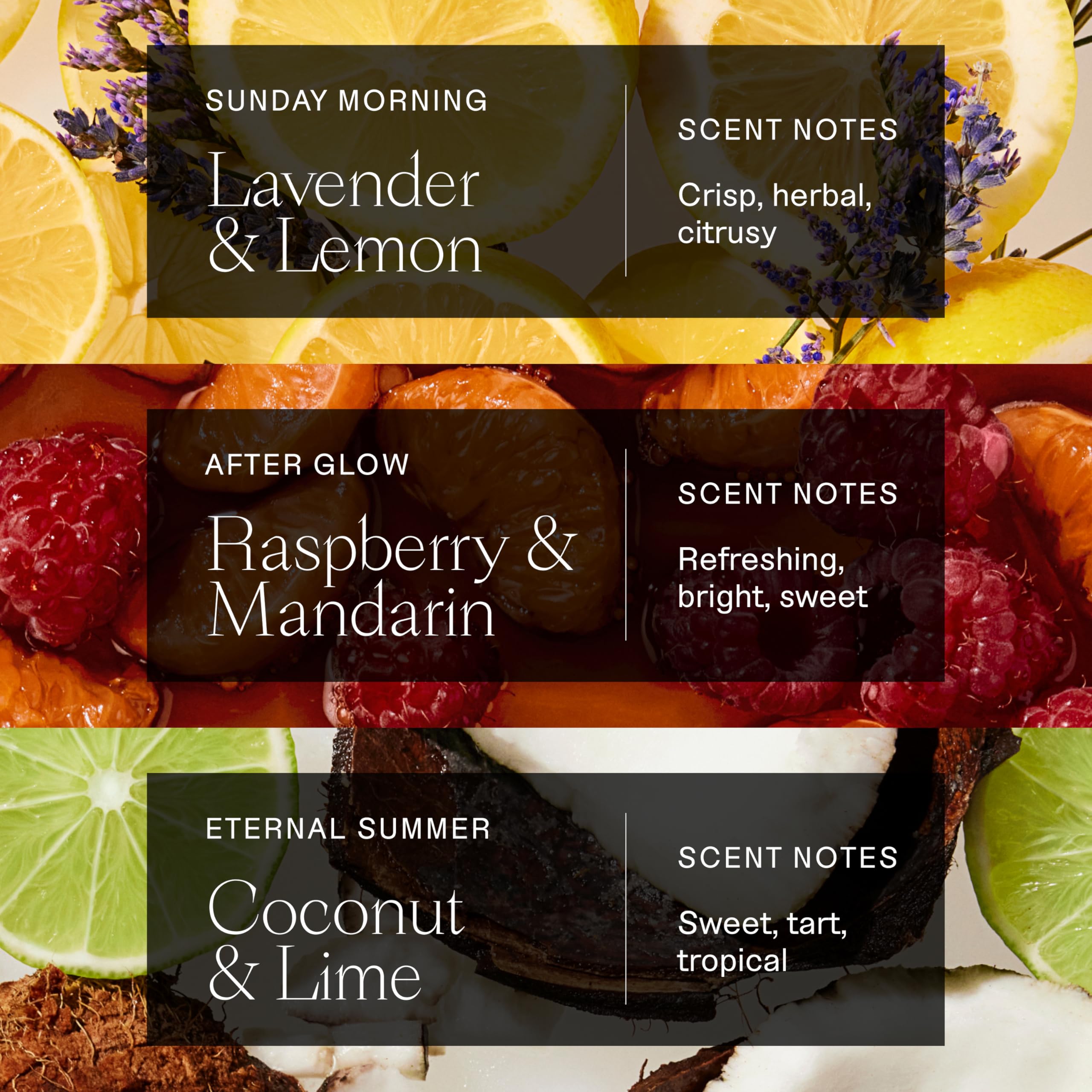 Three-pack deodorant box showing all scents for trial and travel convenience.