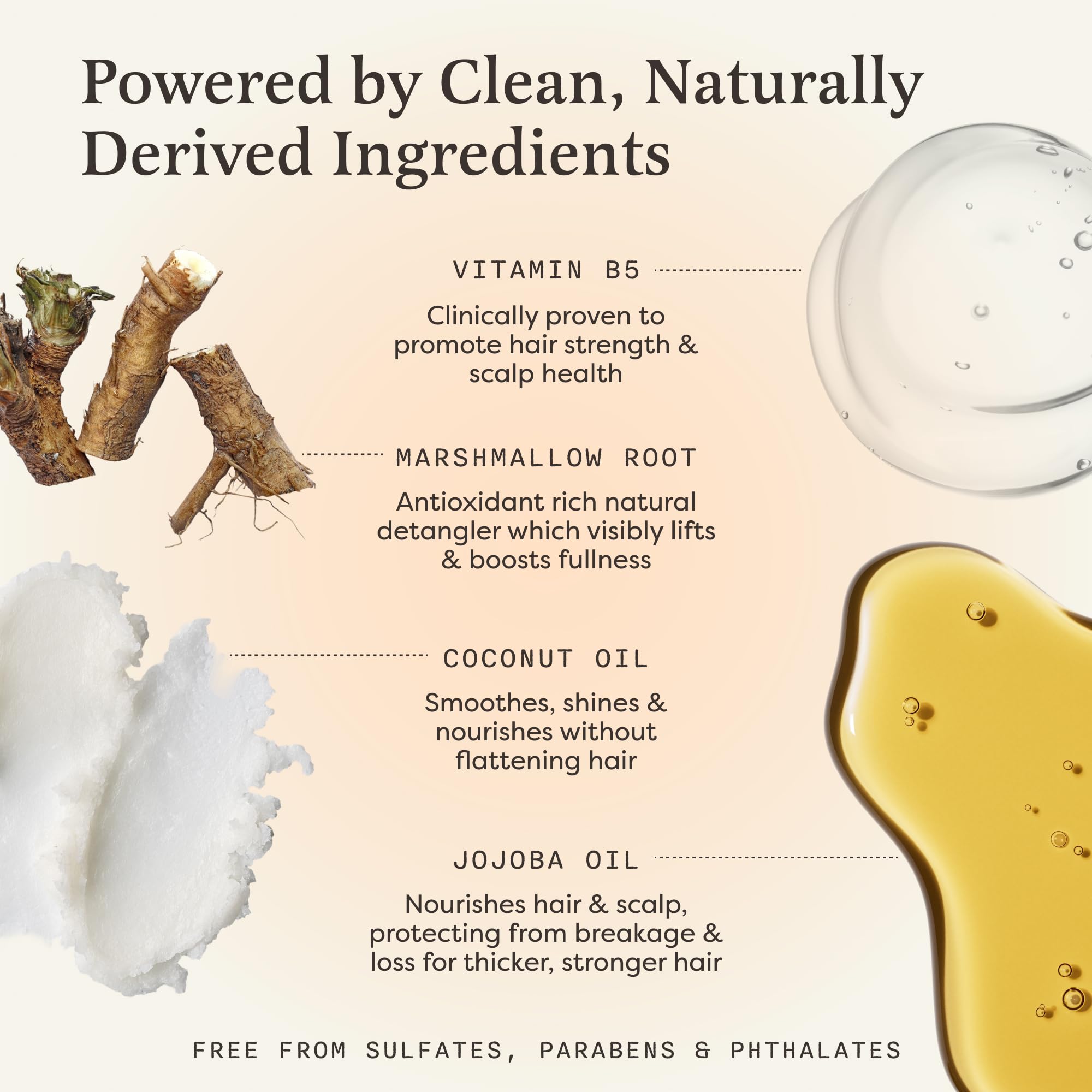 The Earthling Co. Shampoo Bar with elderberry for nourished hair and enhanced resilience.
