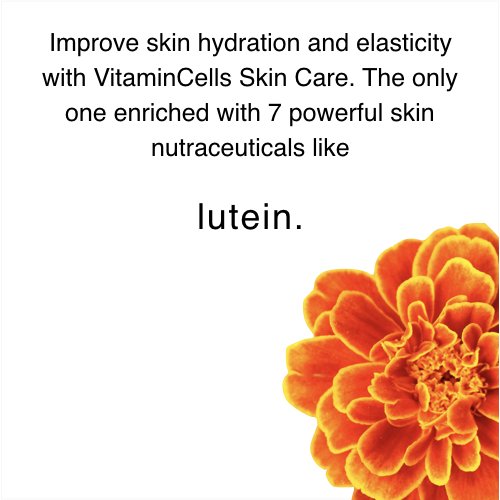 Ingredients of Ecco Bella Rebuilder Night Cream highlight natural plant-based formula