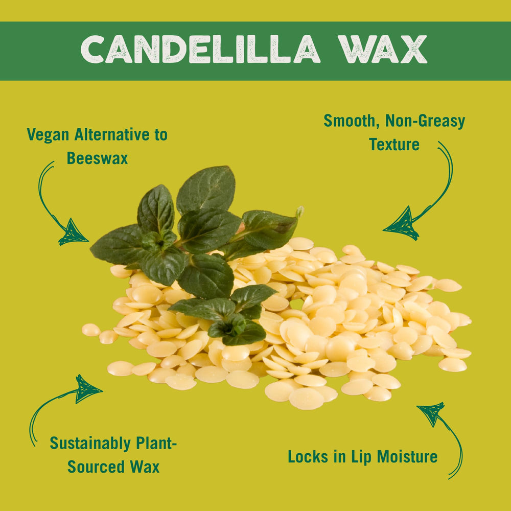 Ingredient panel showcases coconut oil and shea butter for moisture